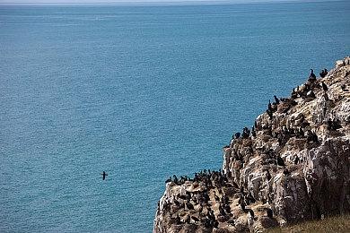 末世生存冒险游戏《末日方舟》将于6月9日上线 Nintendo Switch 平台